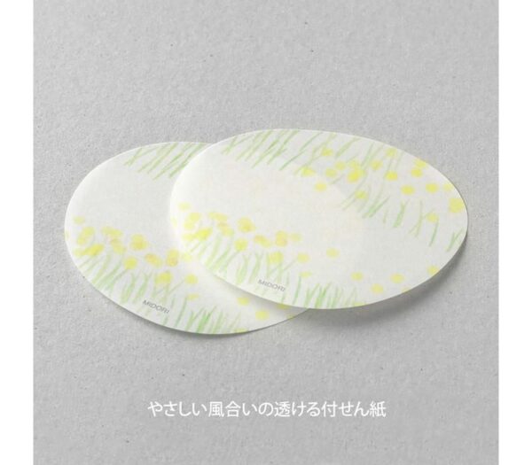 Midori Transparent Sticky Notes - Imagen 4